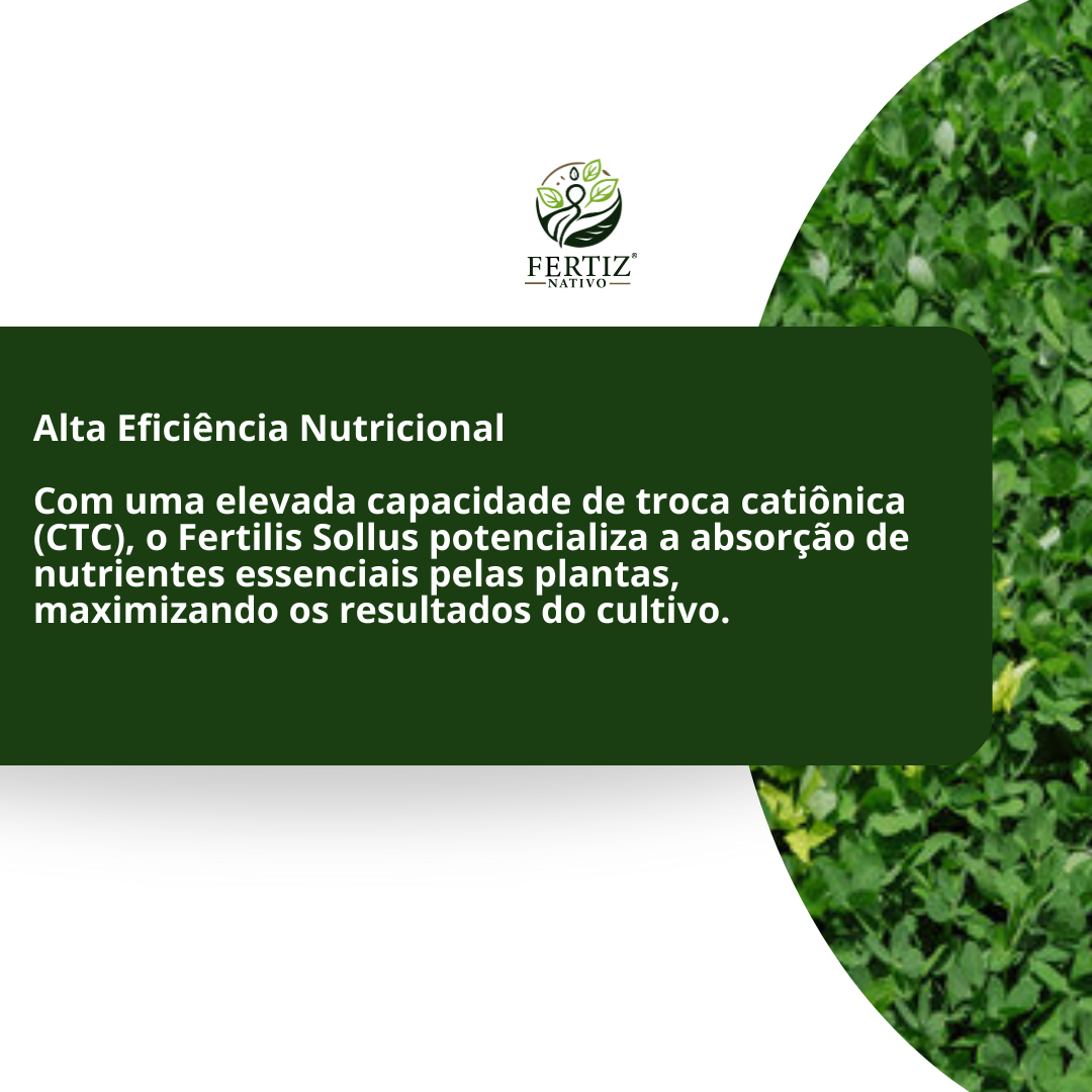 Adubo Fertilis Sollus Turfa Líquida 5 lt - Fertiz Nativo — foto 3