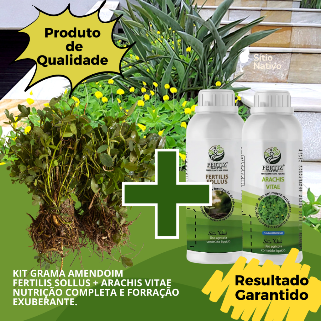 Kit 5000 Mudas de Grama Amendoim Raiz Nua + Fertilis Sollus
