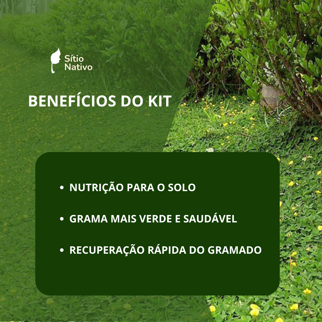 Kit 10Mil Mudas Grama Amendoim Raiz Nua + Kit Fertiz Nativo — foto 4