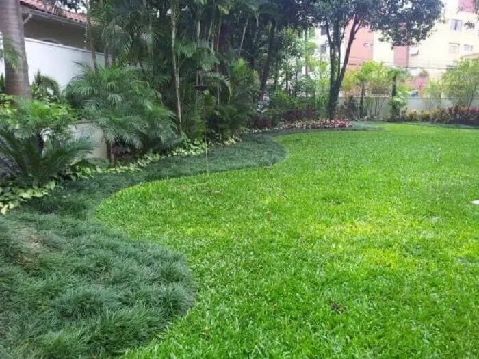 Grama Preta, Dúvidas frequentes