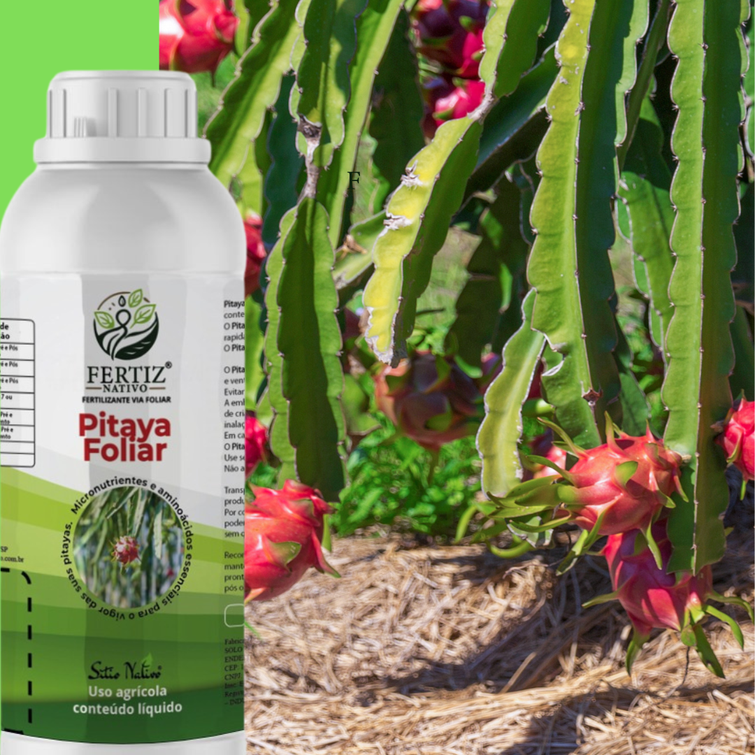 Pitaya Foliar: Nutrição Rápida e Precisa para Suas Pitayas