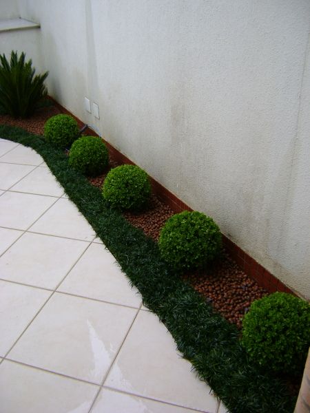 Buxinho Bola (Buxus sempervirens) 1 Unidade Diâmetro 45cm — foto 6