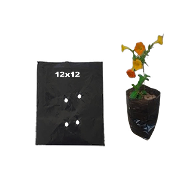 Saquinhos Para Mudas Saco para Germinação 12x12cm - 1kg