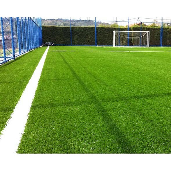 Sementes de Grama Bermuda Folha Fina 10pct x 4g p/ 9m2 - Imagem 3