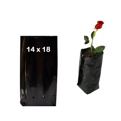 Saquinhos Para Mudas Saco para Germinação 14x18cm - 1kg