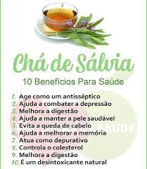 Sálvia Comum - officinalis — foto 3