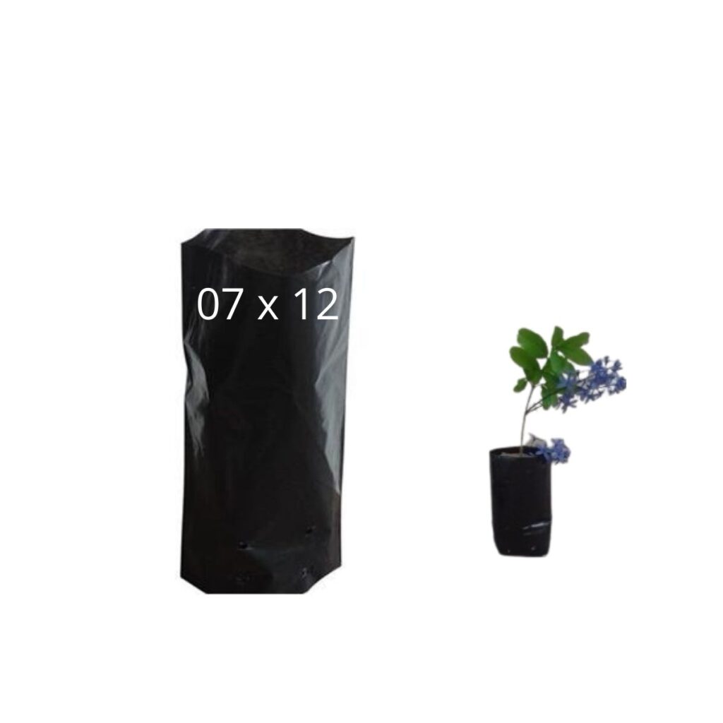 Saquinhos Para Mudas Saco para Germinação 7x12cm - 5kg
