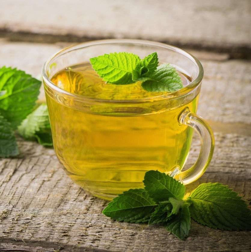 Hortelã - Mentha spicata no Saquinho — foto 4