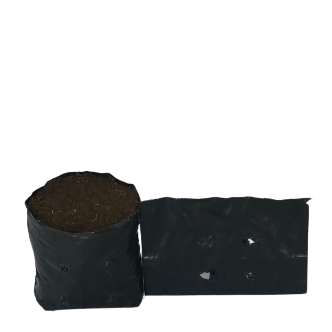 Saquinhos Para Mudas Saco para Germinação 10x10cm - 5kg — foto 7