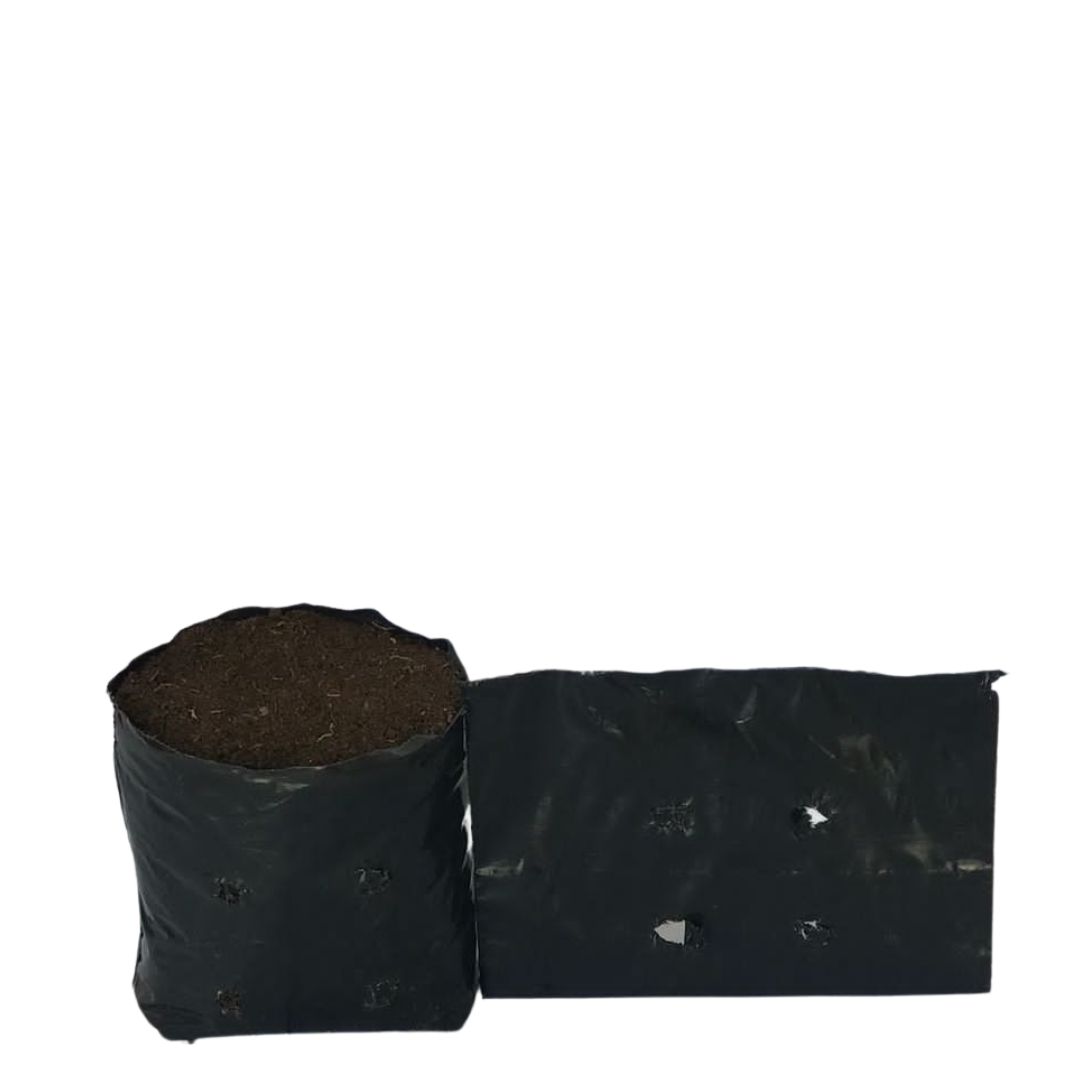 Saquinhos Para Mudas Saco para Germinação 10x10cm - 5kg — foto 10