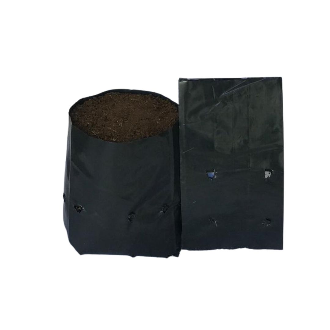 Saquinhos Para Mudas Saco para Germinação 18x20cm - 5kg — foto 3