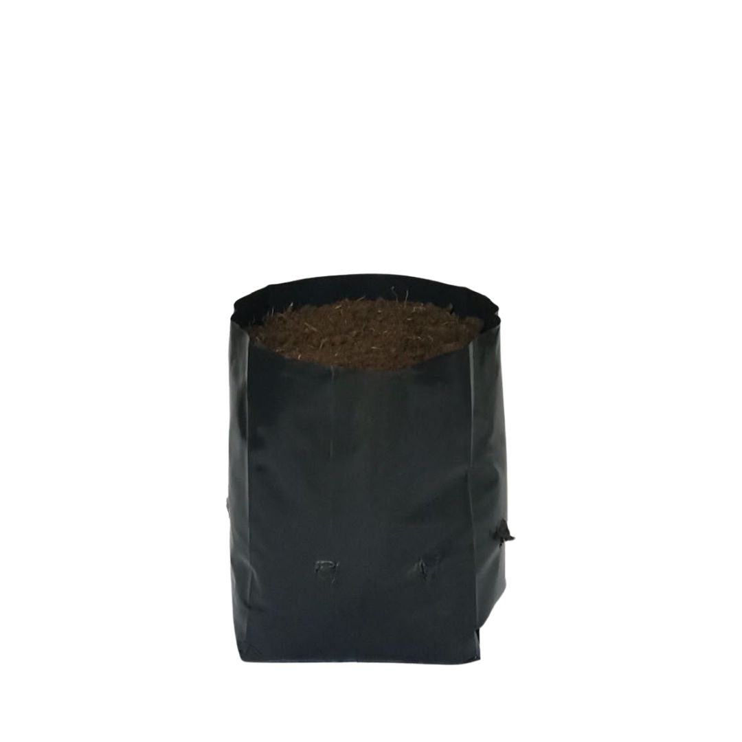 Saquinhos Para Mudas Saco para Germinação 18x18cm - 5kg — foto 3