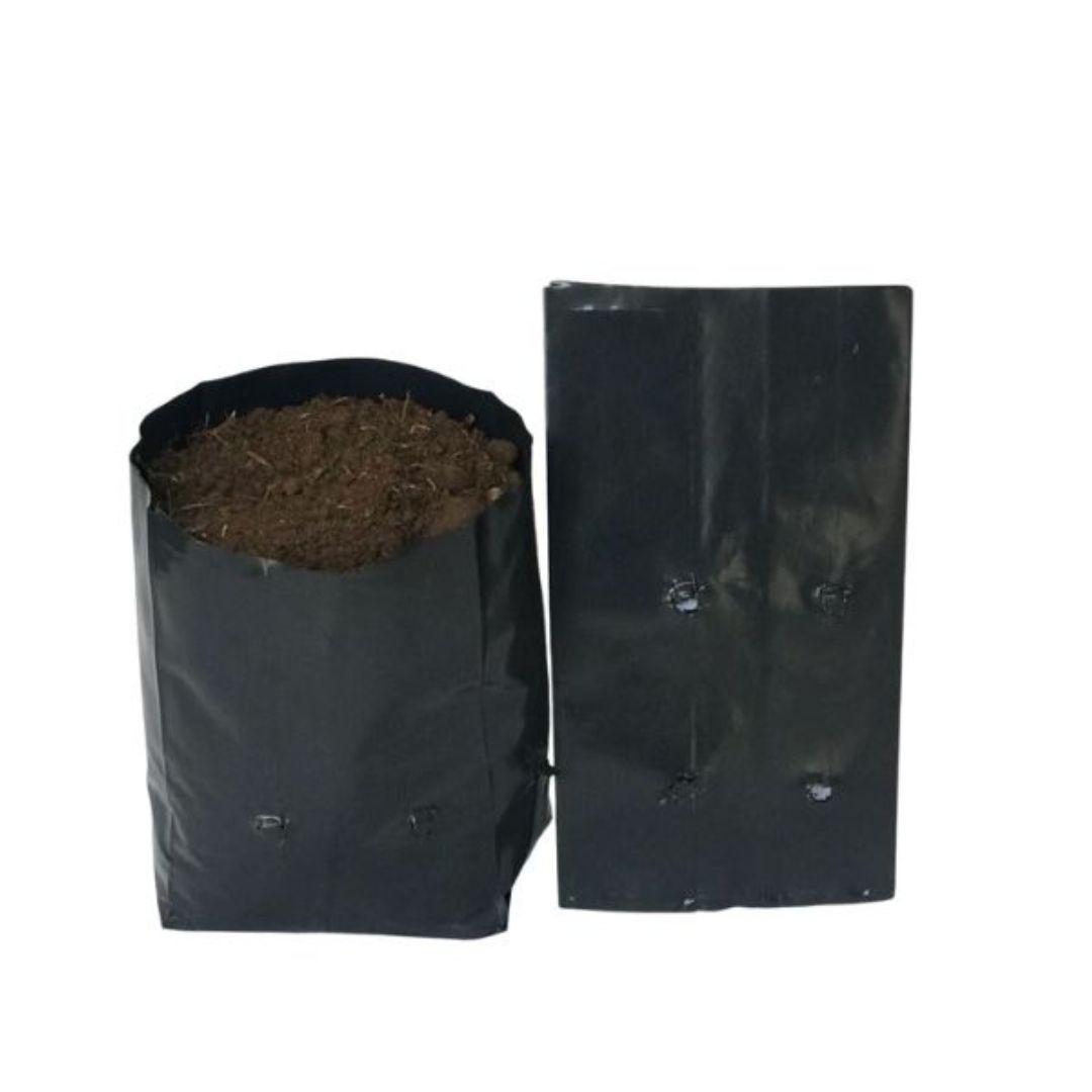 Saquinhos Para Mudas Saco para Germinação 18x18cm - 1kg — foto 6