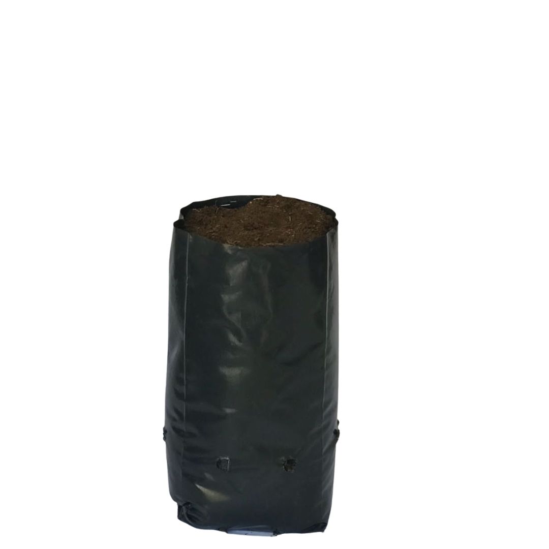 Saquinhos Para Mudas Saco para Germinação 18x25cm - 5kg — foto 5