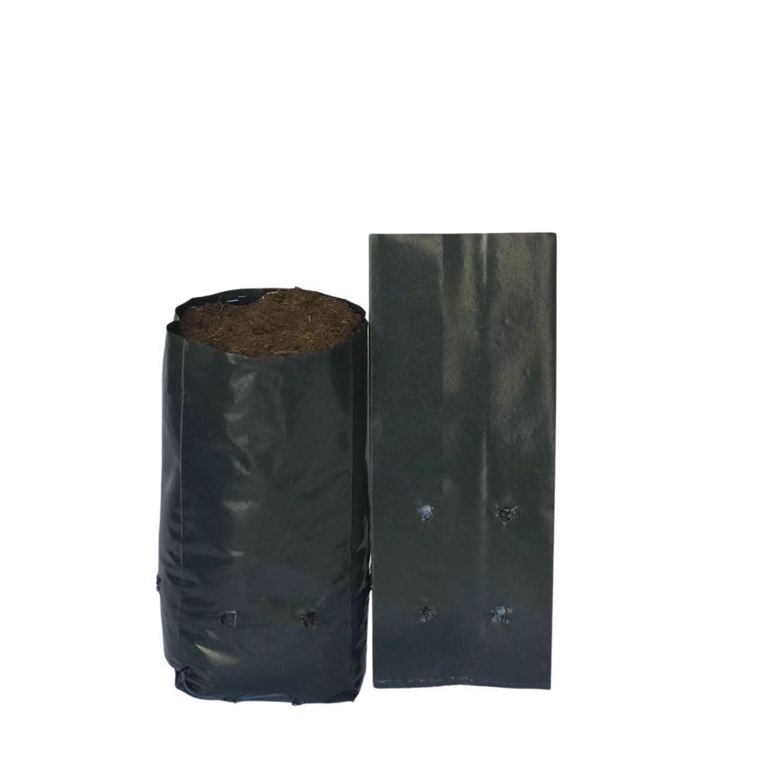 Saquinhos Para Mudas Saco para Germinação 18x25cm - 5kg — foto 6
