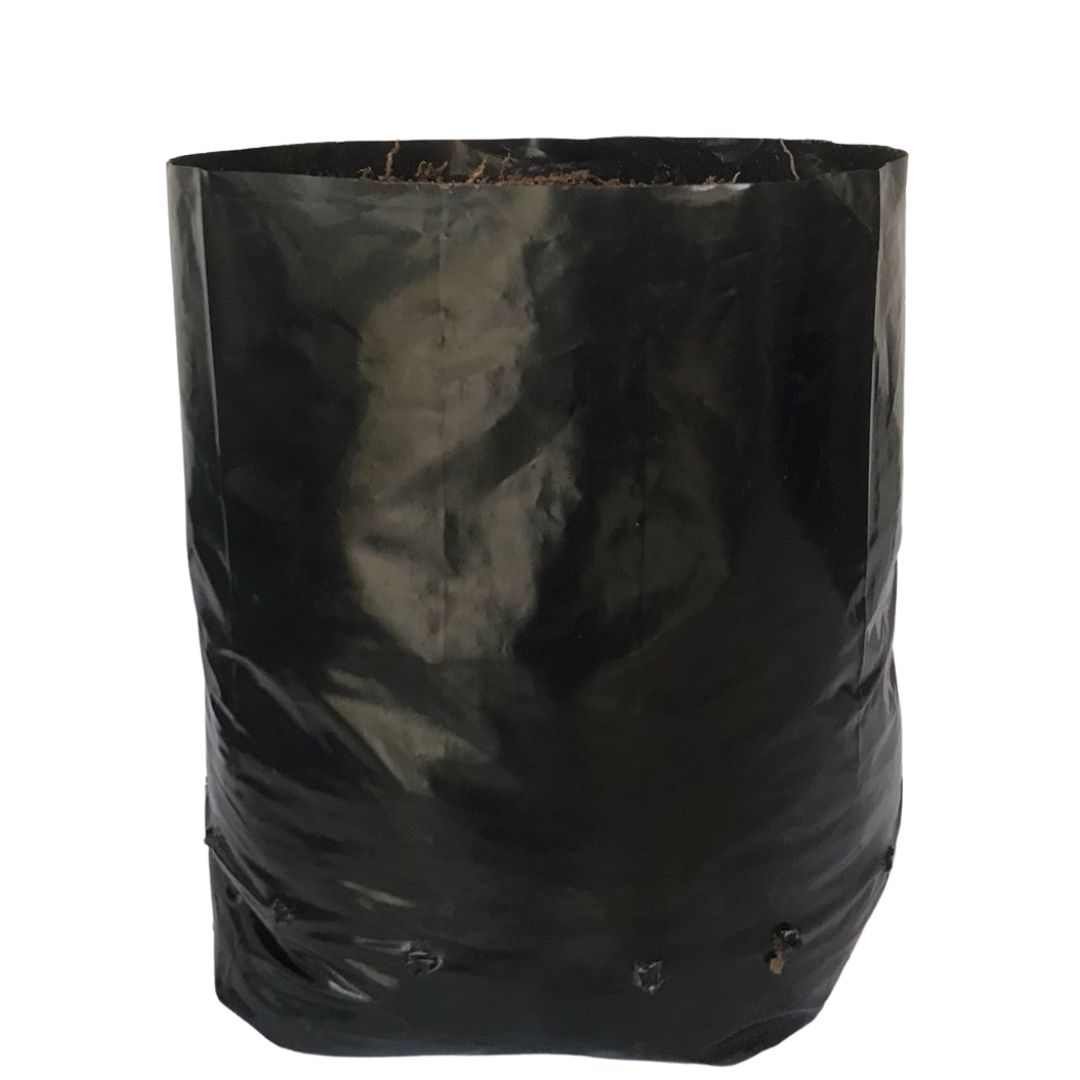 Saquinhos Para Mudas Saco para Germinação 35x35cm - 5kg — foto 7