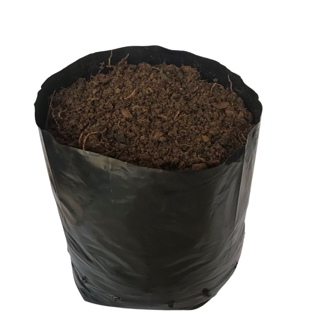 Saquinhos Para Mudas Saco para Germinação 35x35cm - 5kg — foto 6