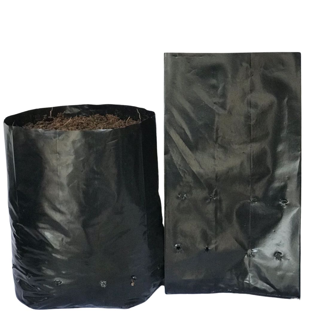 Saquinhos Para Mudas Saco para Germinação 35x35cm - 5kg — foto 3