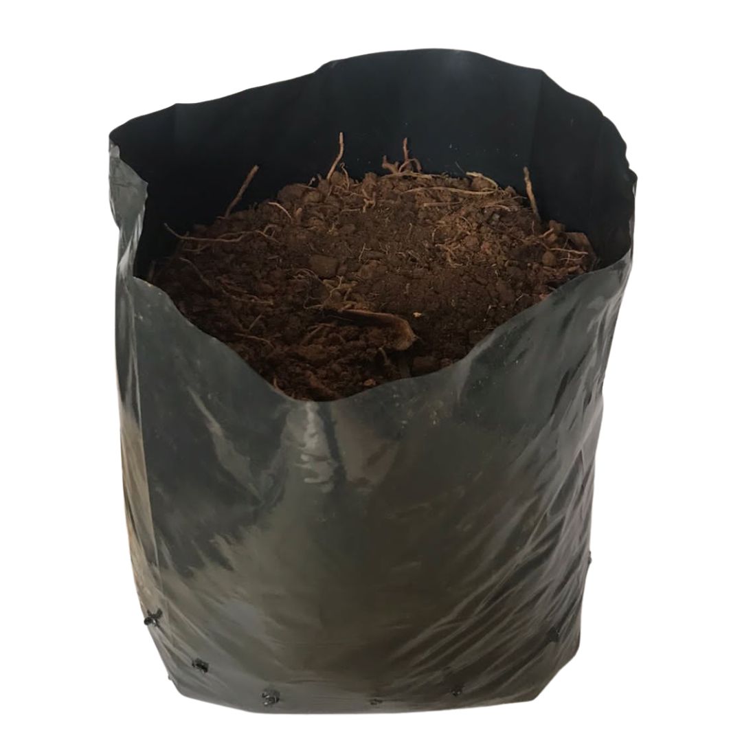 20kg Atacado Saquinhos Para Mudas Saco p/ Germinação 40x40cm — foto 7