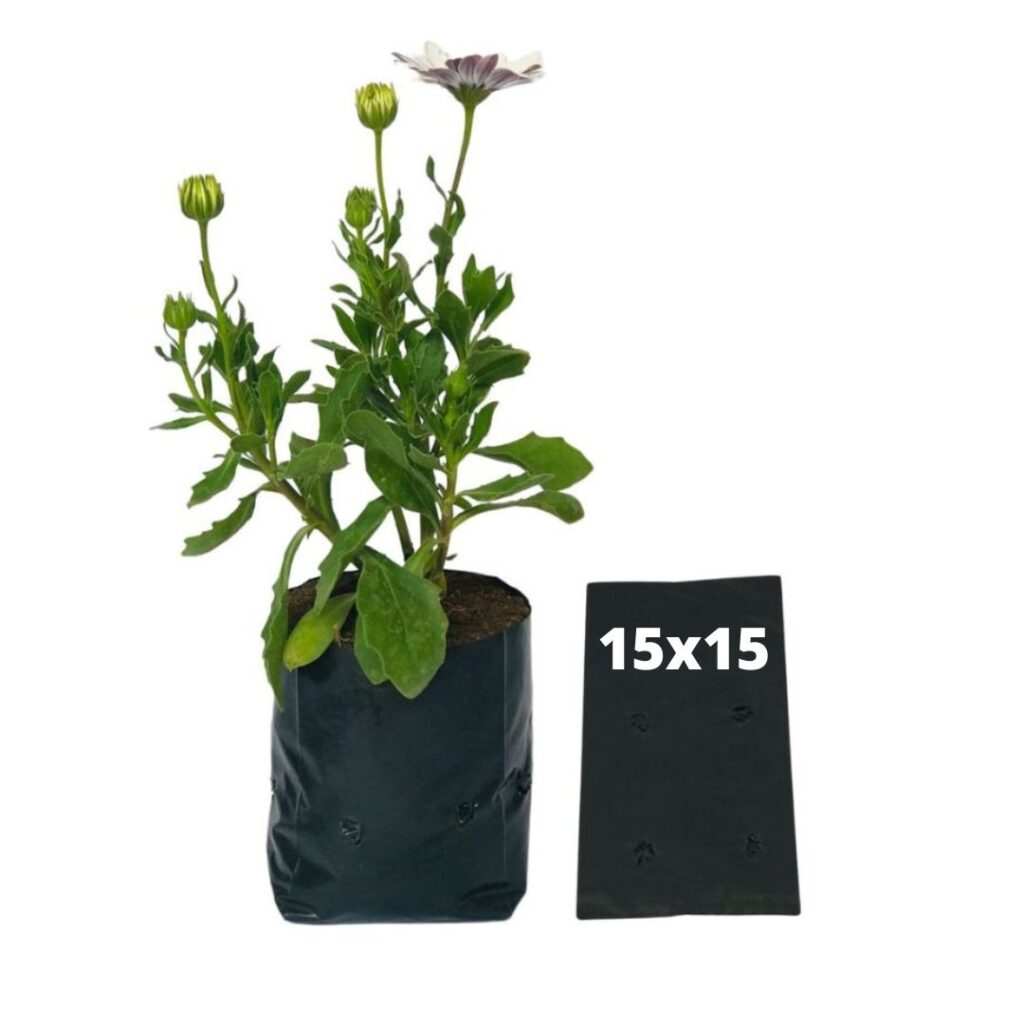 20kg Atacado Saquinhos Para Mudas Saco p/ Germinação 15x15cm