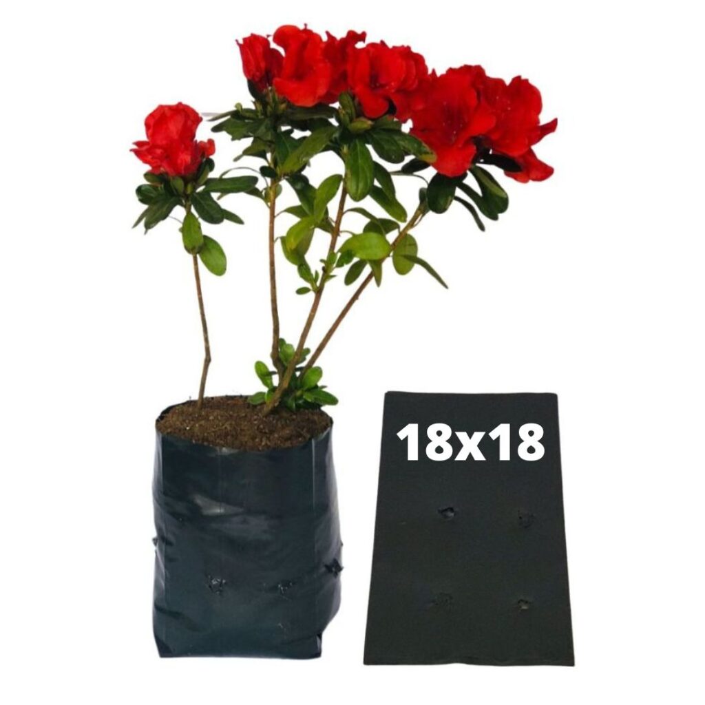 Saquinhos Para Mudas Saco para Germinação 18x18cm - 1kg
