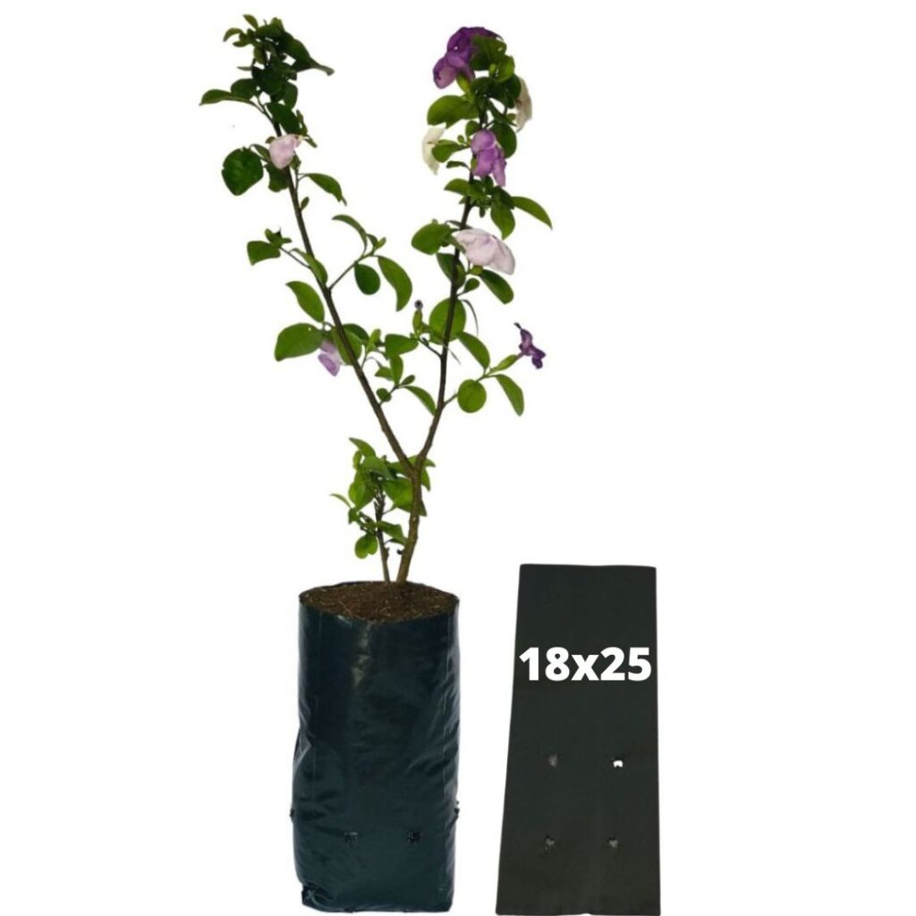 20kg Atacado Saquinhos Para Mudas Saco p/ Germinação 18x25cm