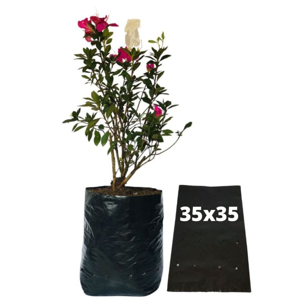 Saquinhos Para Mudas Saco para Germinação 35x35cm - 5kg