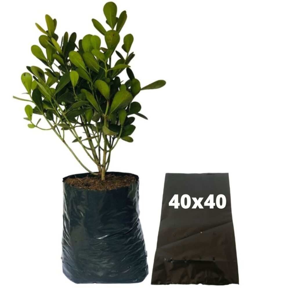 Saquinhos Para Mudas Saco para Germinação 40x40cm - 5kg