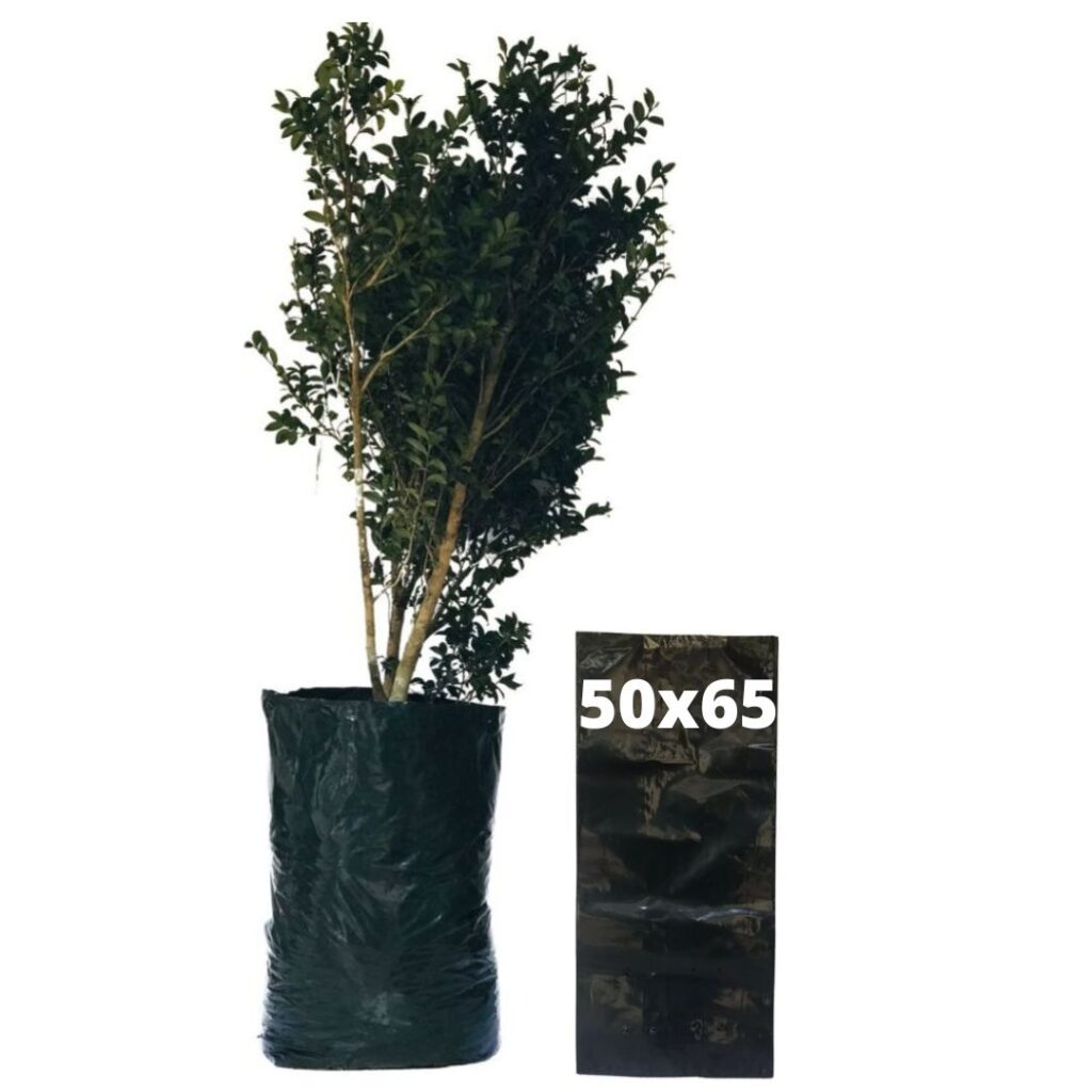 Saquinhos Para Mudas Saco para Germinação 50x65cm - 5kg