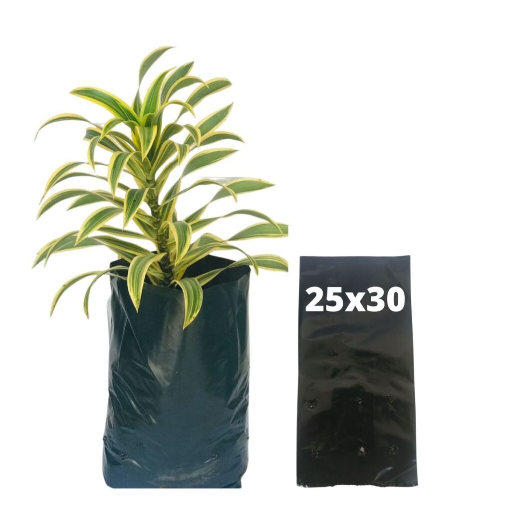 20kg Atacado Saquinhos Para Mudas Saco p/ Germinação 25x30cm
