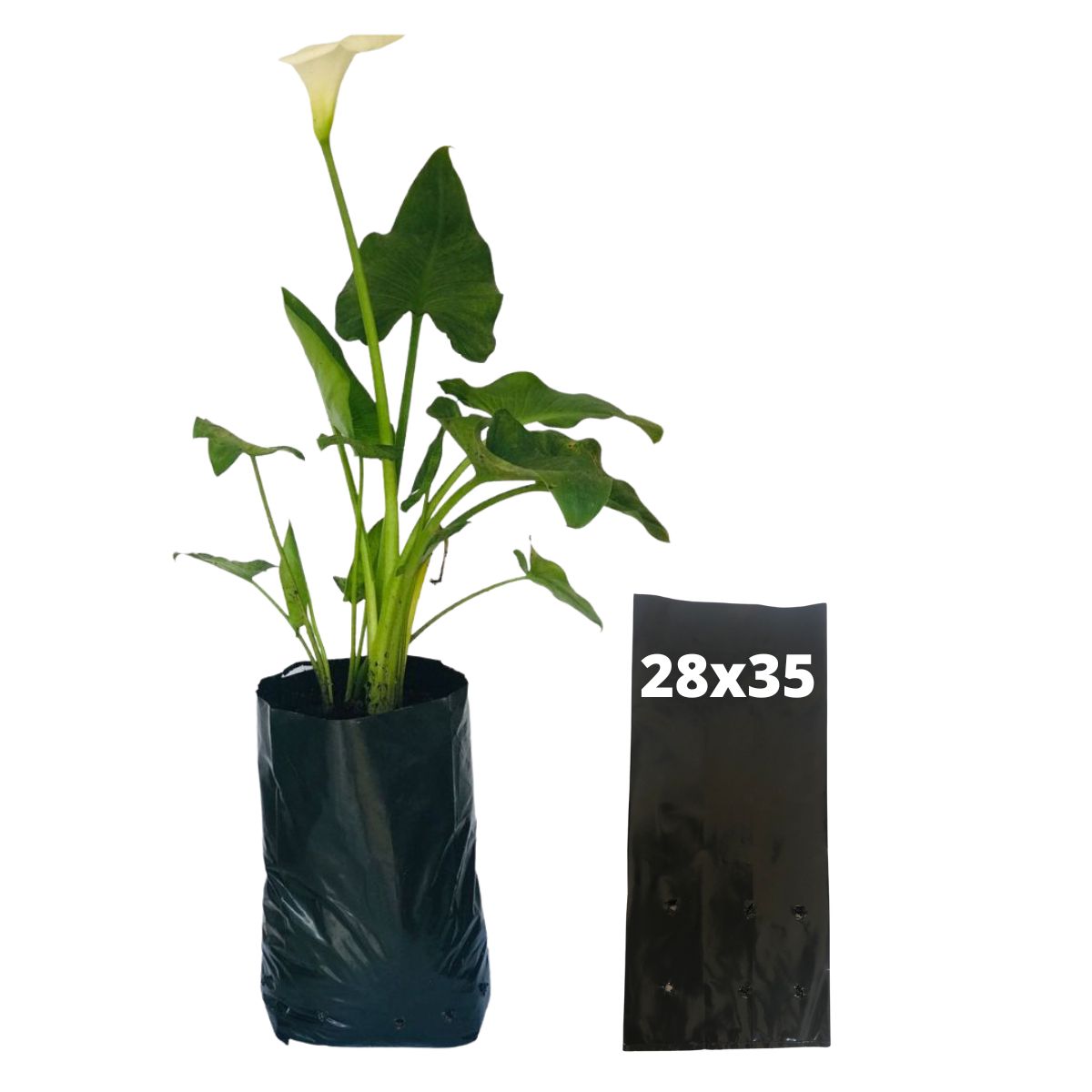 20kg Atacado Saquinhos Para Mudas Saco p/ Germinação 28x35cm