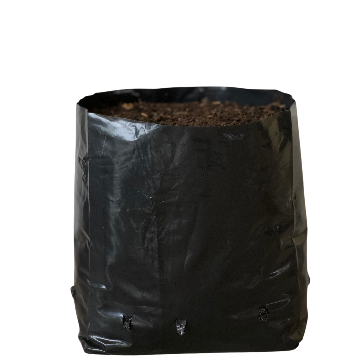 20kg Atacado Saquinhos Para Mudas Saco p/ Germinação 28x25cm — foto 5