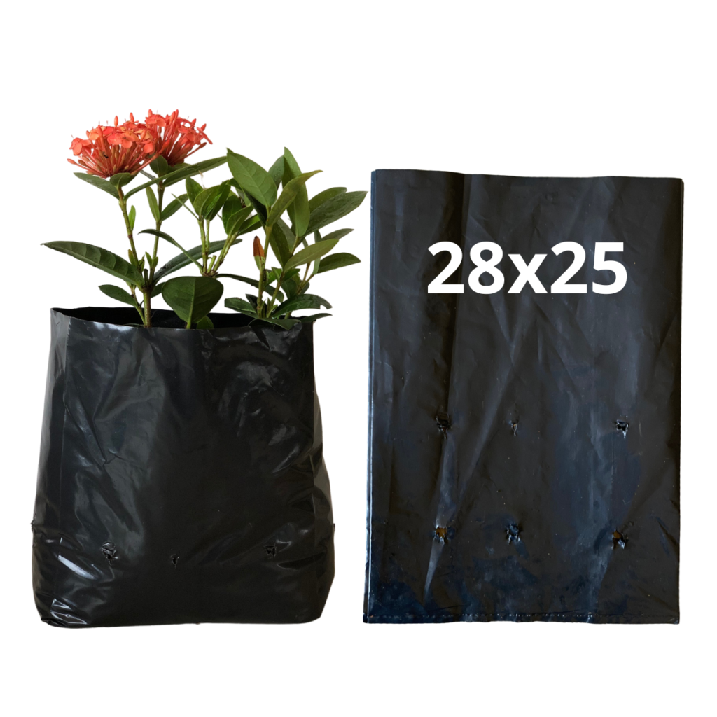 20kg Atacado Saquinhos Para Mudas Saco p/ Germinação 28x25cm