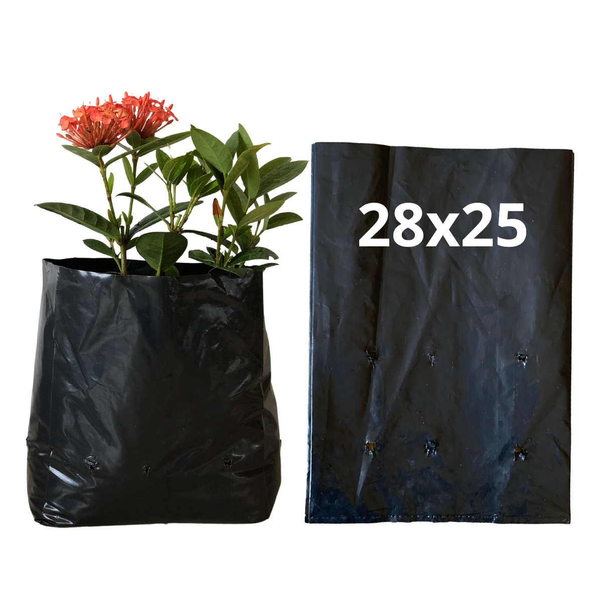 20kg Atacado Saquinhos Para Mudas Saco p/ Germinação 28x25cm
