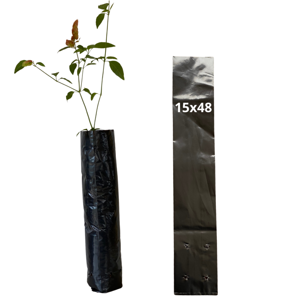 Saquinhos Para Mudas Saco para Germinação 15x48cm - 1kg
