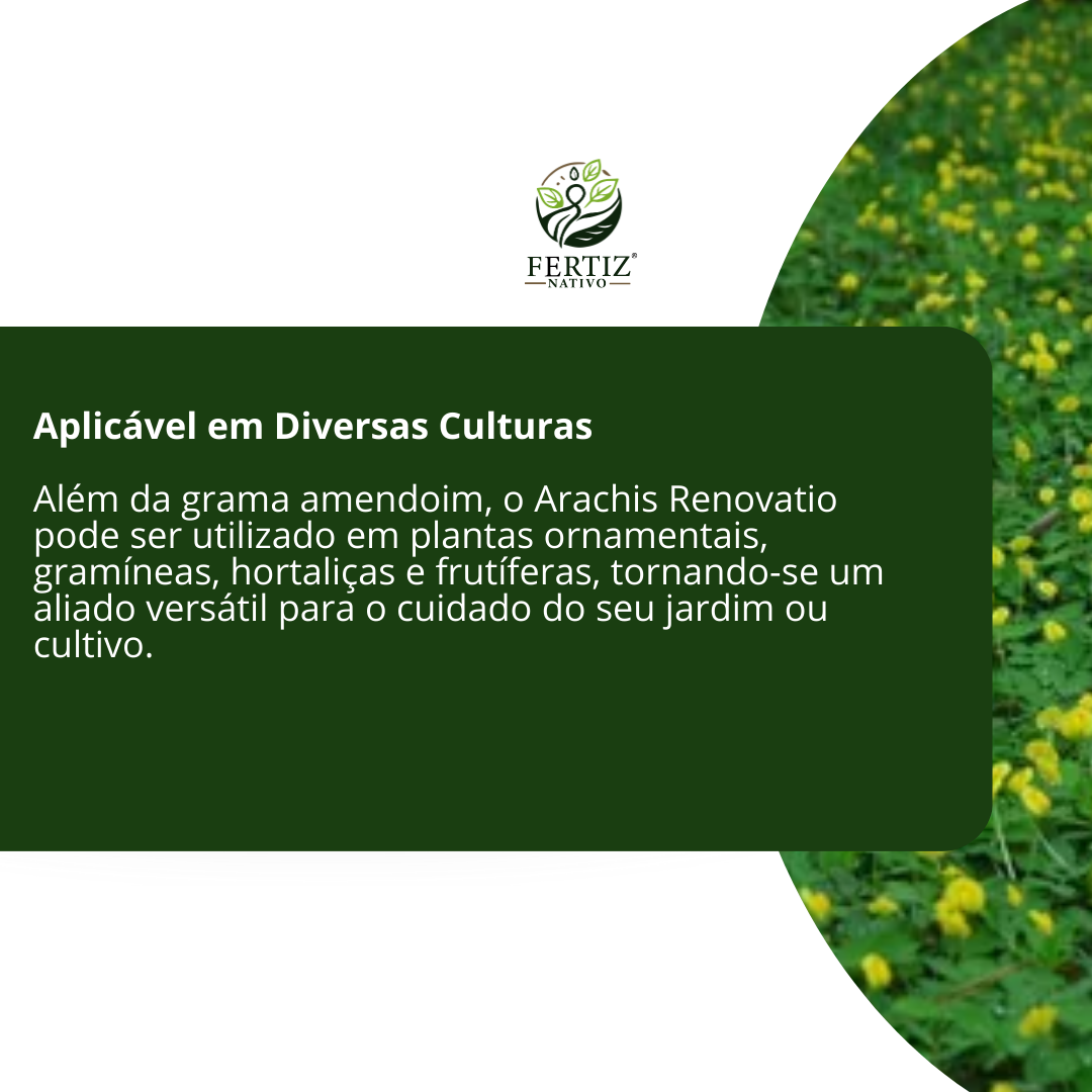 Fertilizante Arachis Renovatio Para Grama Amendoim 1 Lt — foto 4