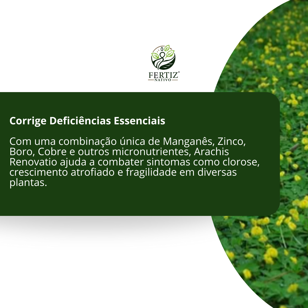 Fertilizante Arachis Renovatio Para Grama Amendoim 1 Lt — foto 5