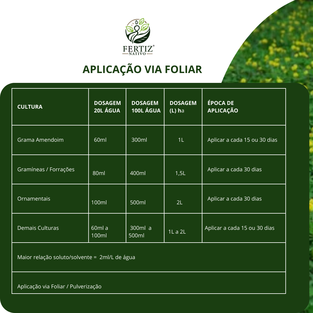 Fertilizante Arachis Renovatio Para Grama Amendoim 1 Lt — foto 8