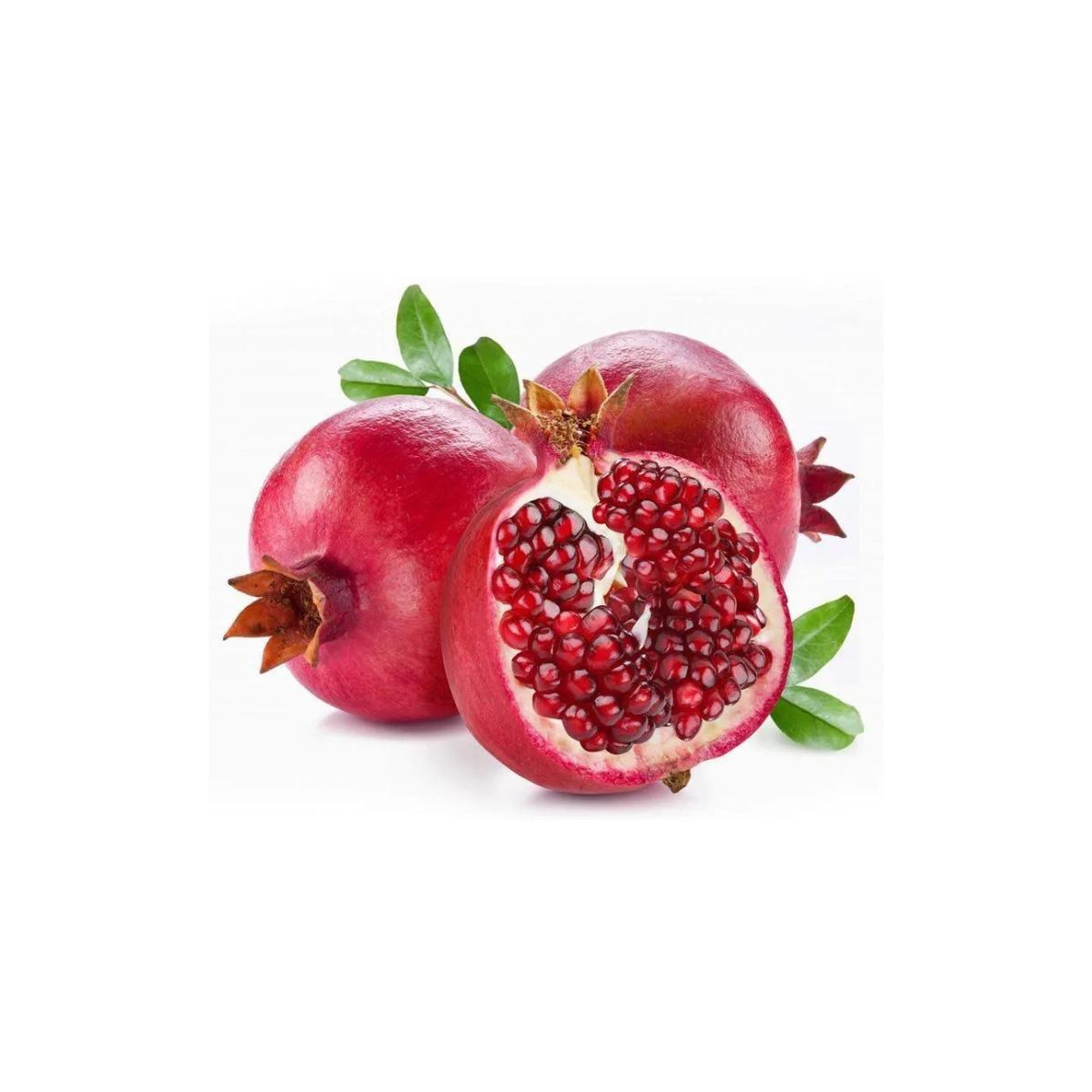 1 Muda Romã Punica Granatum Símbolo Prosperidade e Saúde - Imagem 3