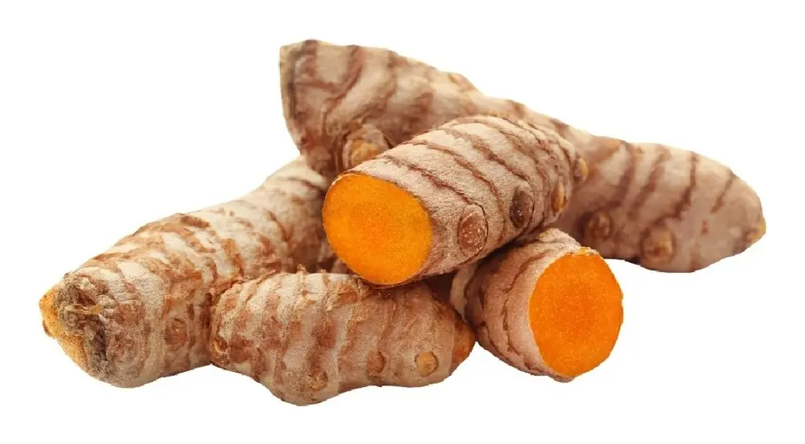 2 Mudas de Açafrão-da-Terra Curcuma longa No Saquinho - Imagem 2