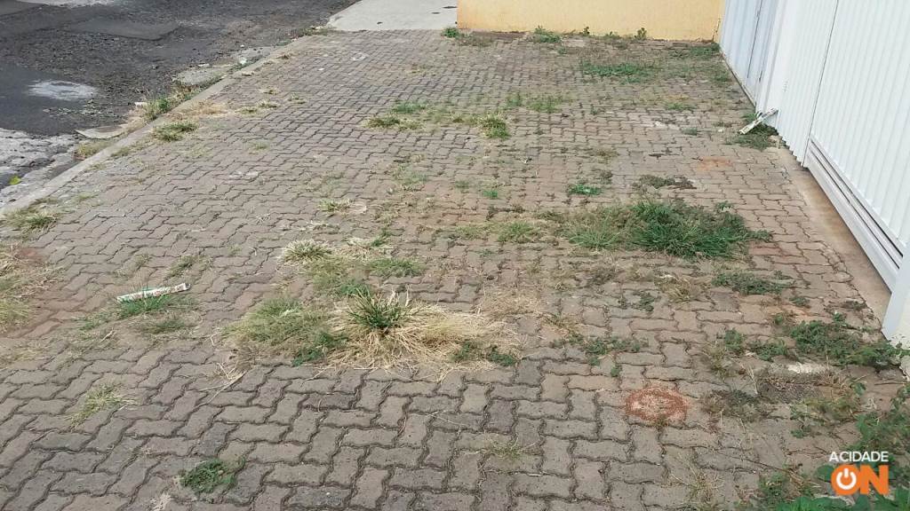 Herbicida Forth Mata Mato 500ml - Contra Ervas Daninhas - Imagem 4