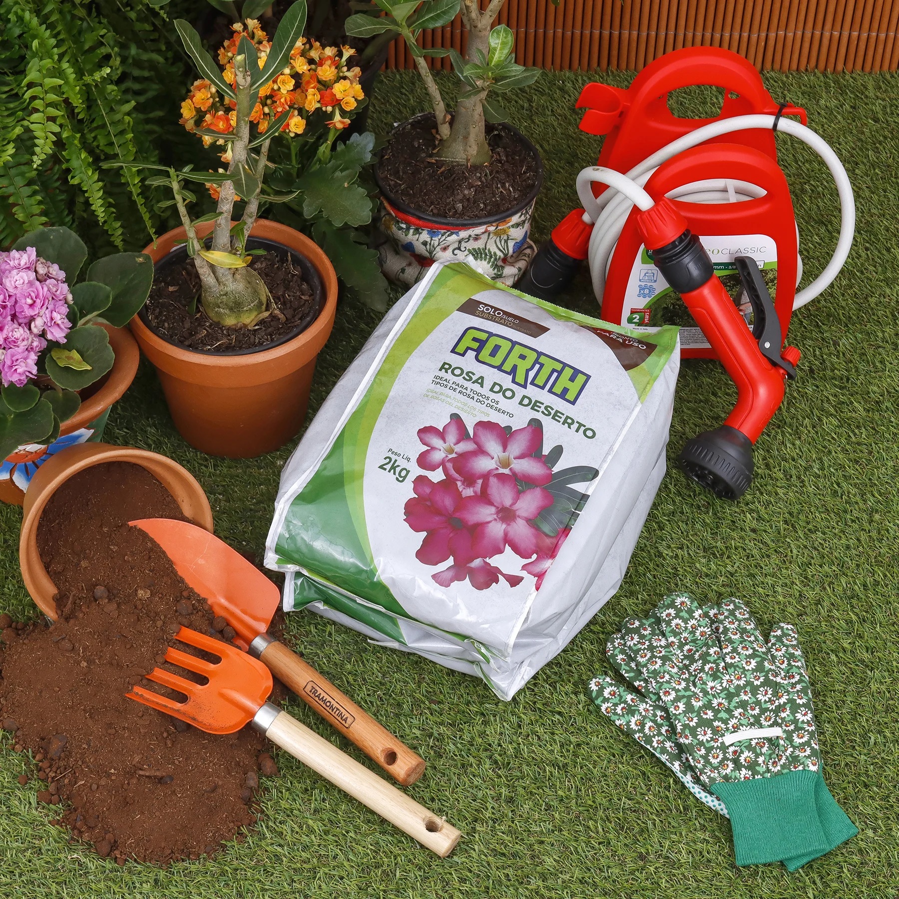 Substrato para Rosa do Deserto Forth Jardim 2kg - Imagem 4