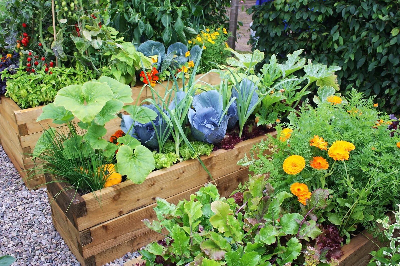 Fetilizante Forth Hortaliças 400g - Forth Jardim - Imagem 5