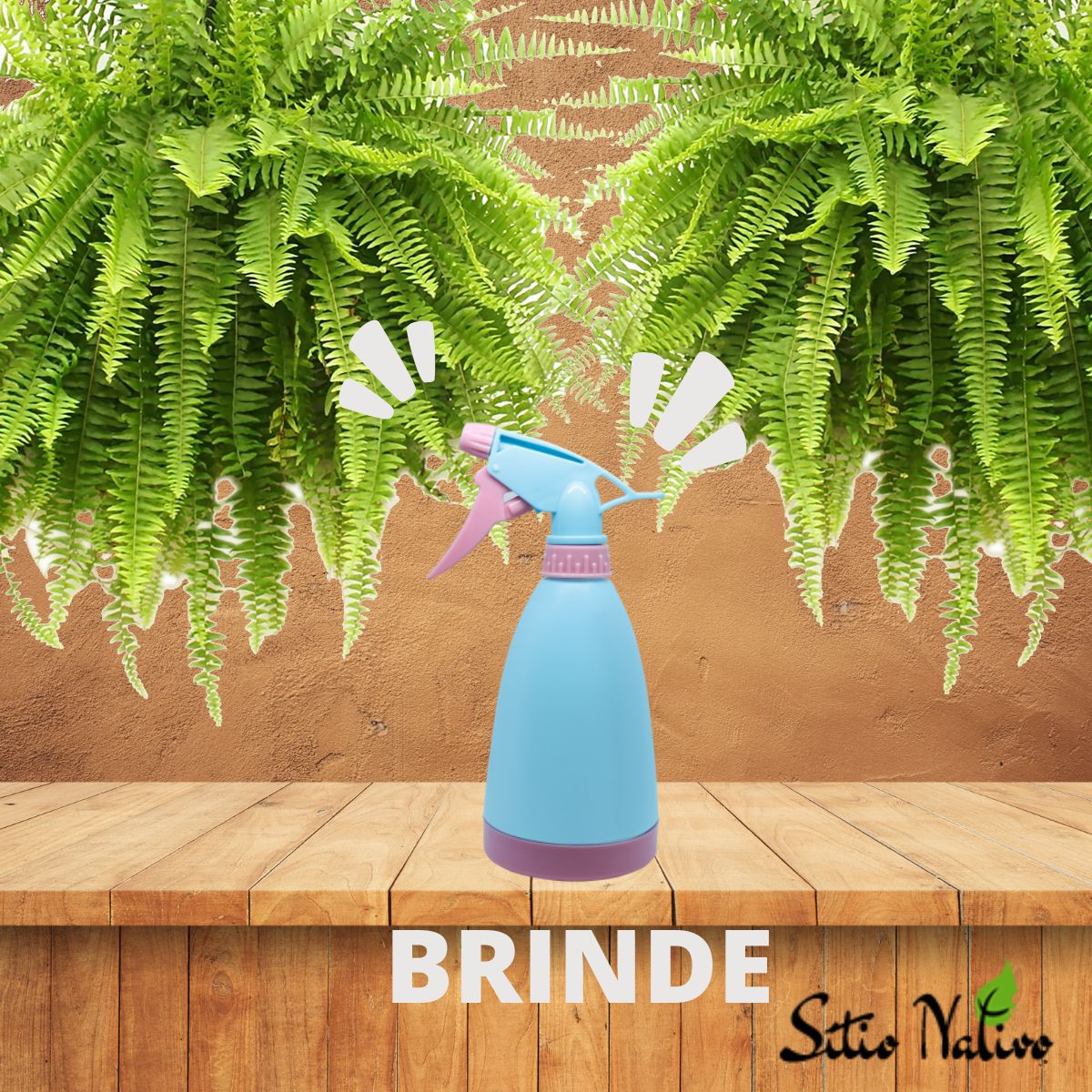 Kit Adubo Forth Samambaias 400g + Brilha Folhas + Brinde - Imagem 5