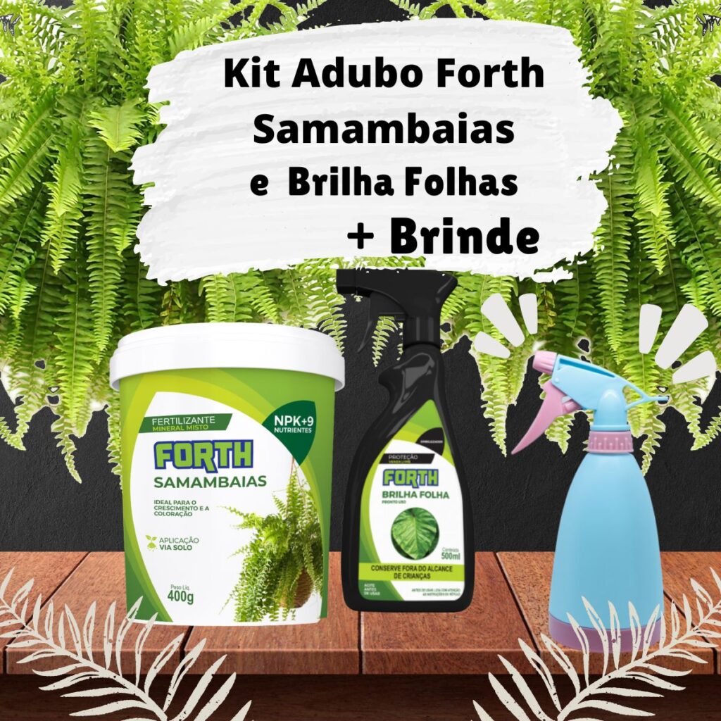 Kit Adubo Forth Samambaias 400g + Brilha Folhas + Brinde