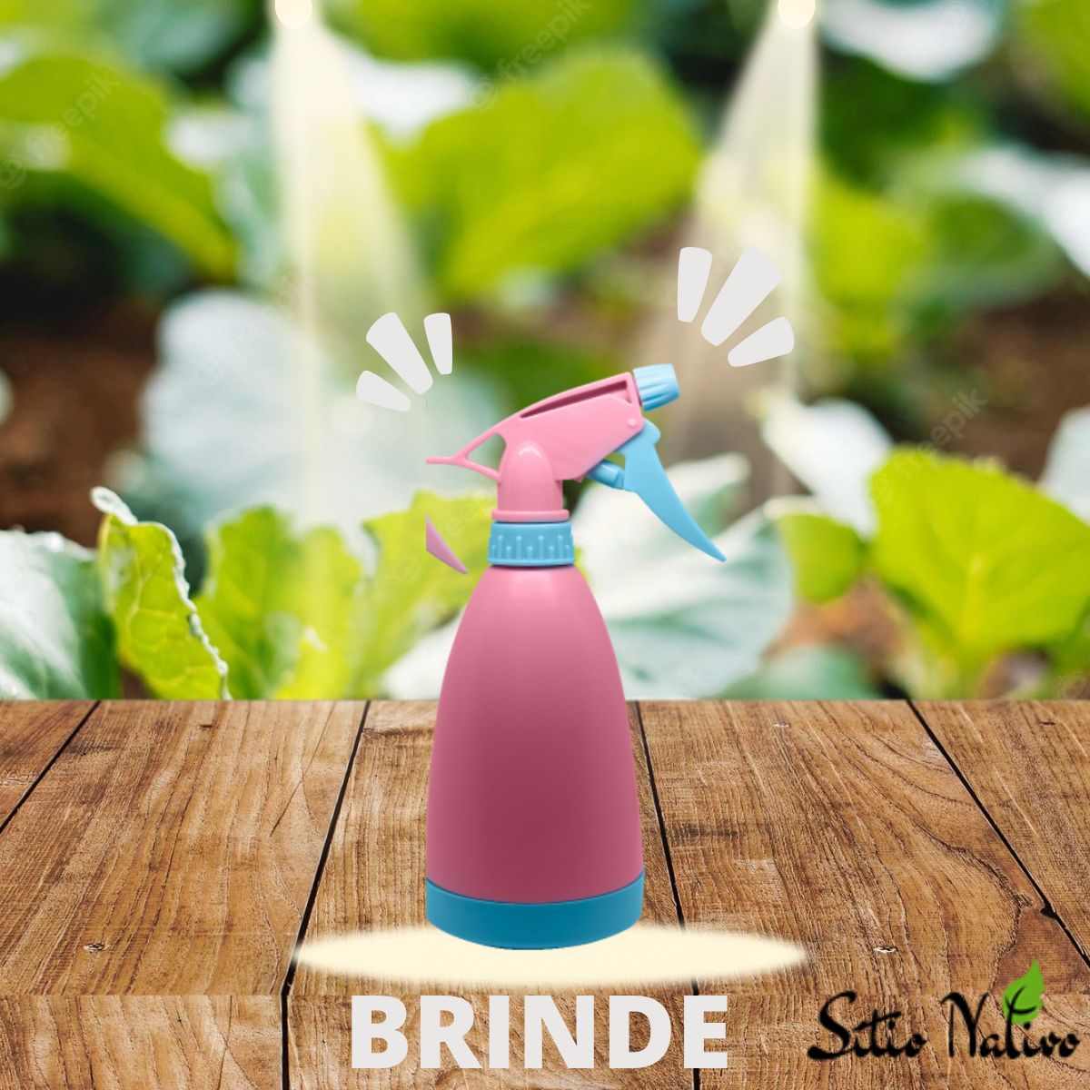 Kiit Adubo e Substrato Rosa do Deserto Forth Jardim + Brinde - Imagem 4