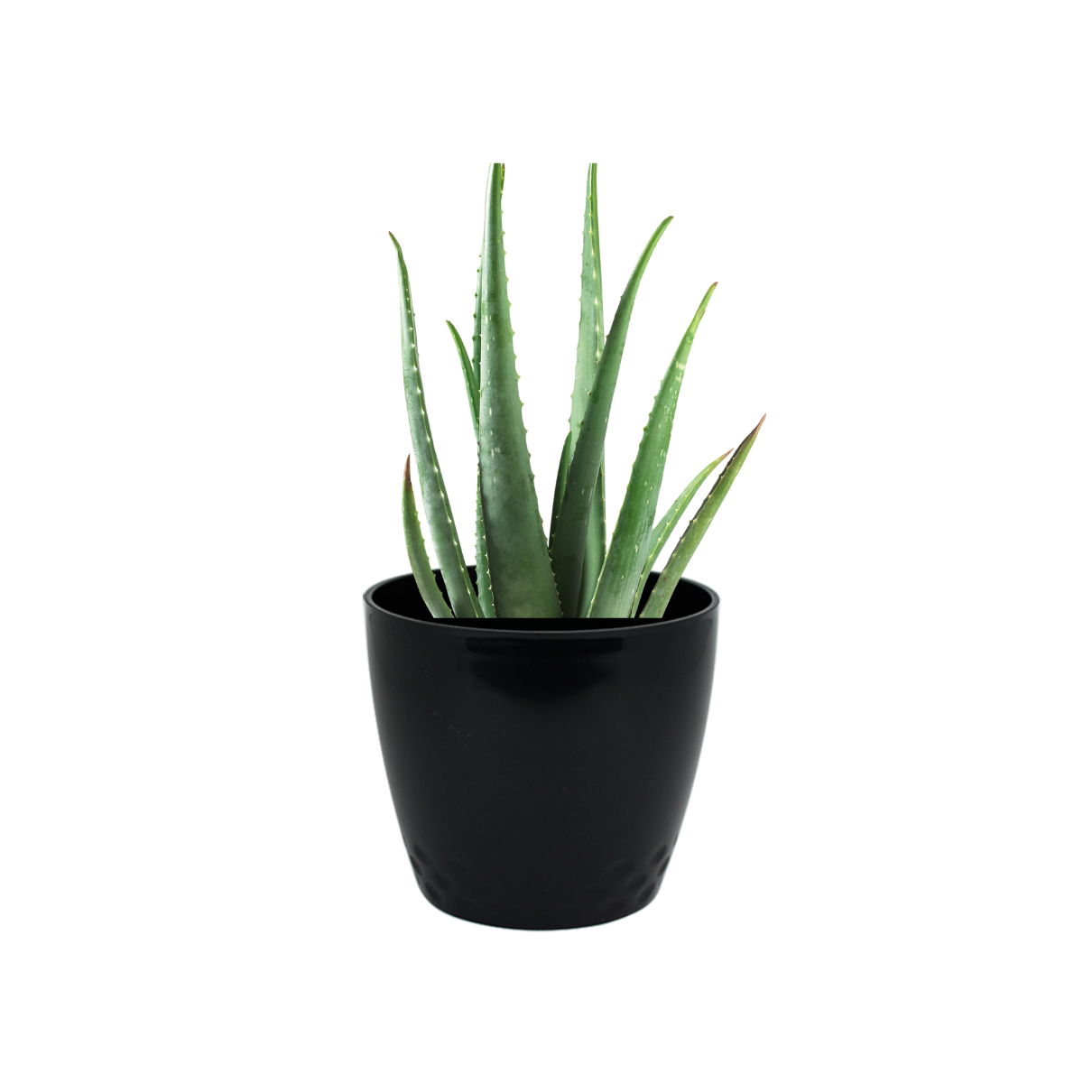 Vaso Cachepo Diamond N1 Preto - 10,5 x 9,5cm - 700ML - Imagem 2