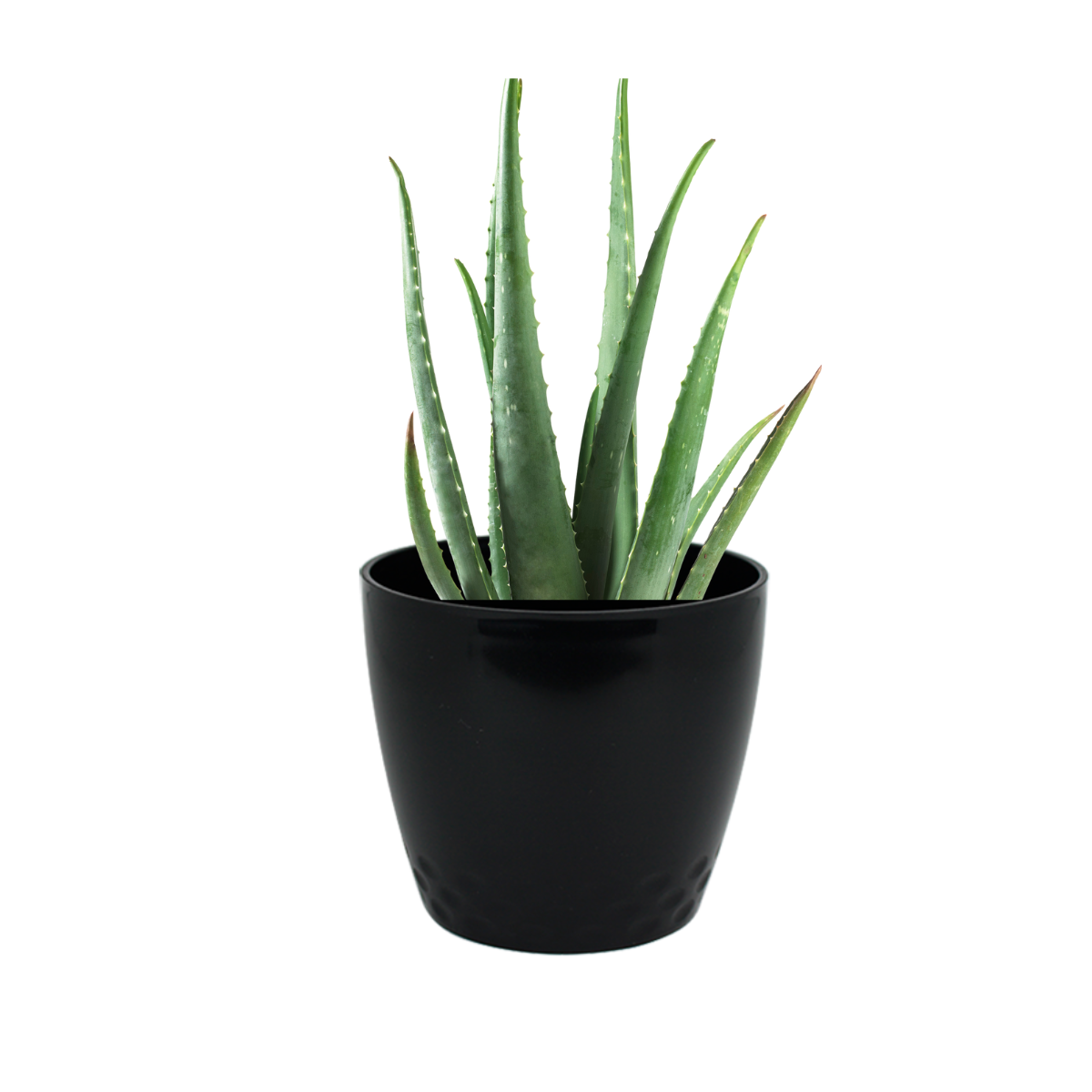 Vaso Cachepo Diamond N3 Preto - 15 x 13cm - 1,9L - Imagem 3