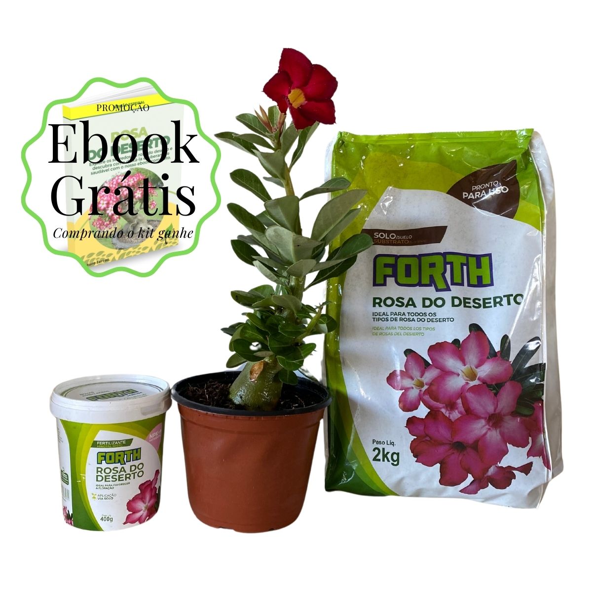 Kit Completo Rosa do Deserto: Cultive a Sua Rosa em Casa!