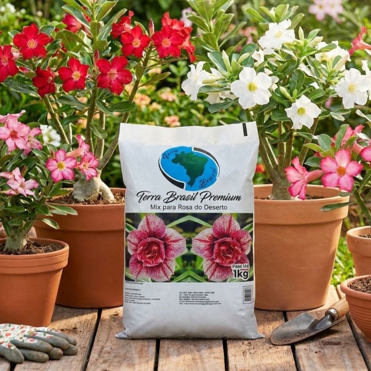 Substrato Mix para Rosa do Deserto 1kg - Drenagem e Vigor - Imagem 3